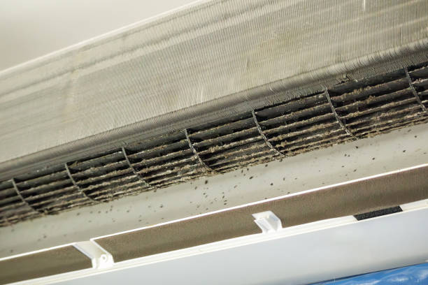 Best HVAC Maintenance and Cleaning  in Beaver Dam, KY