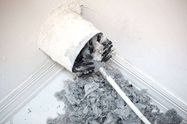 Best Professional Duct Cleaning Services  in Beaver Dam, KY